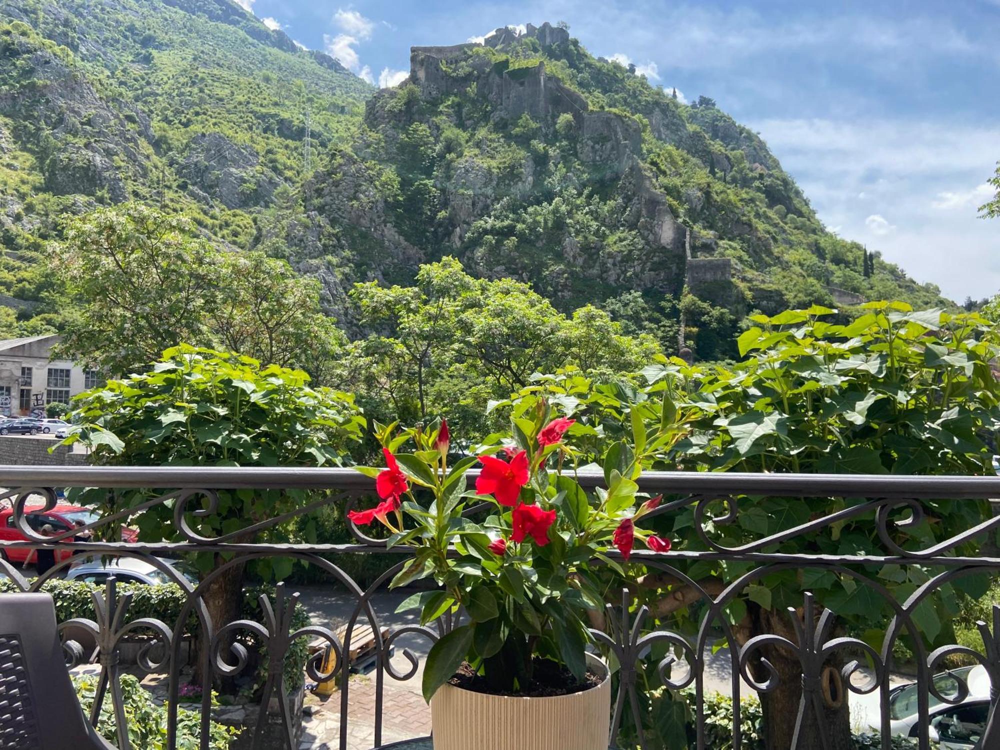 Fiumera Kotor Apartment エクステリア 写真